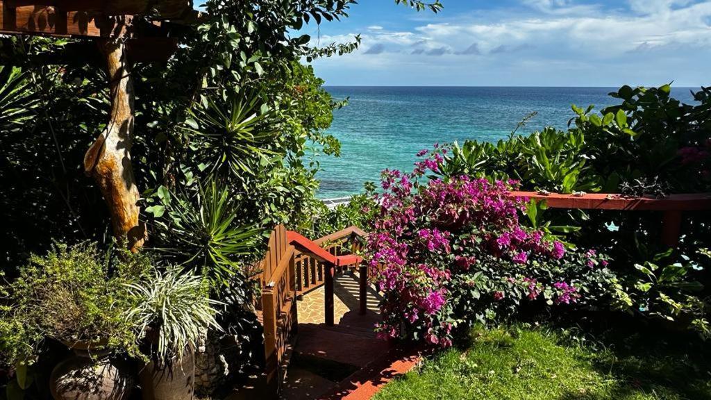 Blue Raven Resort Anda  Eksteriør billede