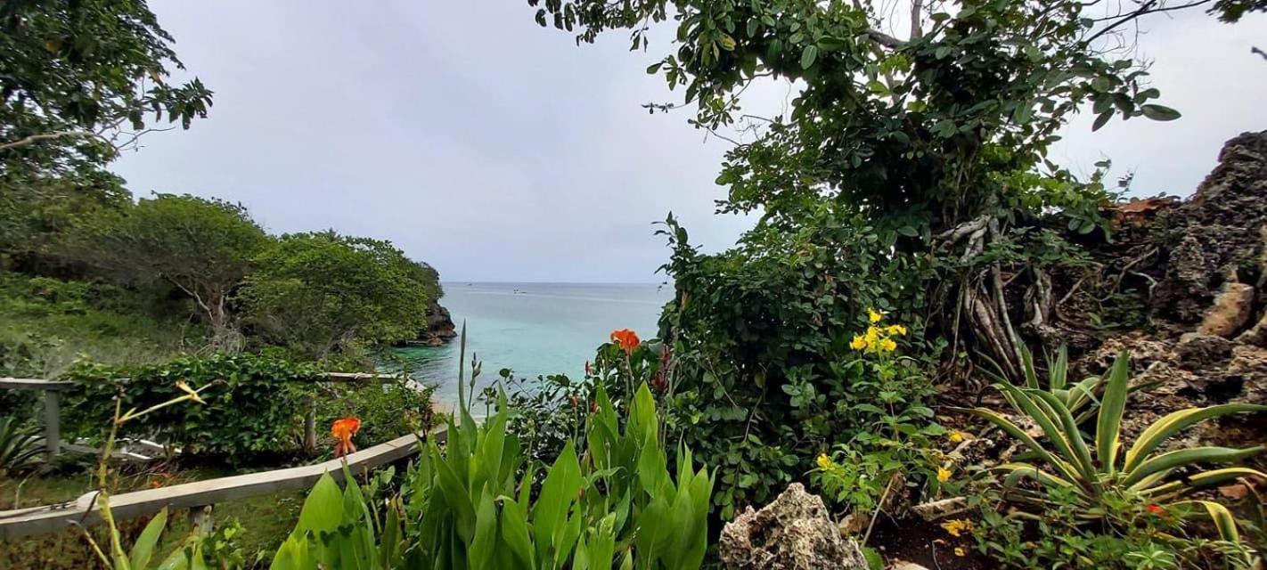Blue Raven Resort Anda  Eksteriør billede
